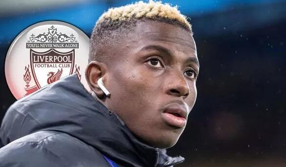 《潜水员戴夫》正式登陆 Xbox, 全新大型 “In the Jungle” DLC实机视频首次公开